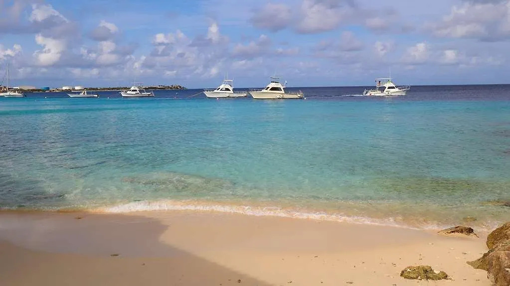 Divi Flamingo Beach Resort Kralendijk 3*,